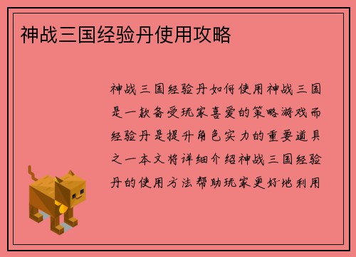 神战三国经验丹使用攻略